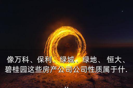像萬(wàn)科、保利、綠城、綠地、 恒大、碧桂園這些房產(chǎn)公司公司性質(zhì)屬于什...