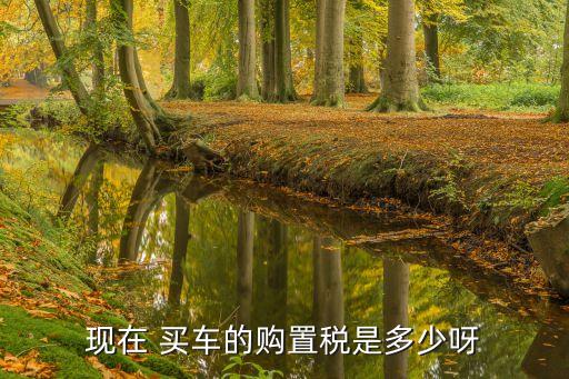中國(guó)買(mǎi)車(chē)稅怎么這樣貴,外國(guó)買(mǎi)車(chē)怎么進(jìn)中國(guó)