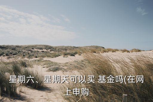 星期六、星期天可以買 基金嗎(在網(wǎng)上申購