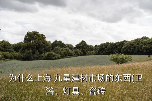 為什么上海 九星建材市場(chǎng)的東西(衛(wèi)浴、燈具、瓷磚