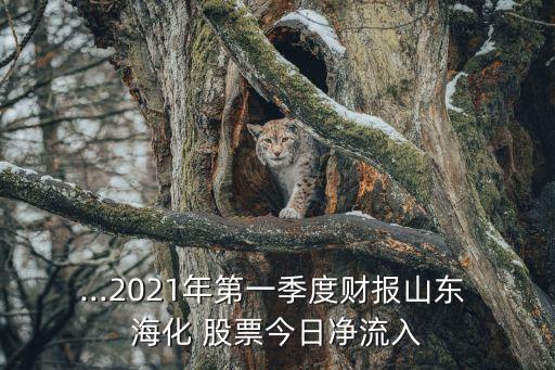 st?；善?海化股票歷史交易數(shù)據(jù)