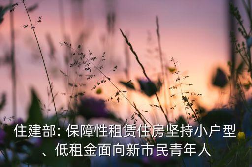 住建部: 保障性租賃住房堅(jiān)持小戶型、低租金面向新市民青年人