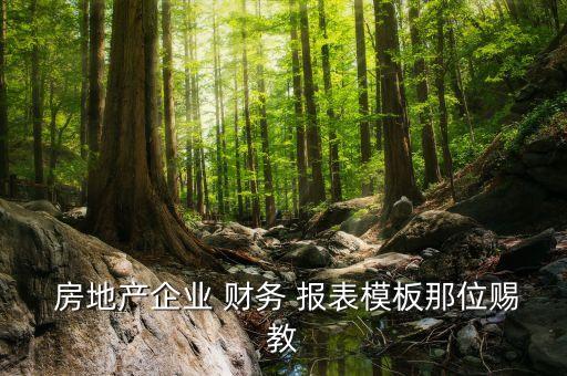  房地產企業(yè) 財務 報表模板那位賜教