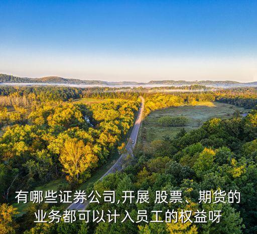 有哪些證券公司,開展 股票、期貨的業(yè)務都可以計入員工的權益呀