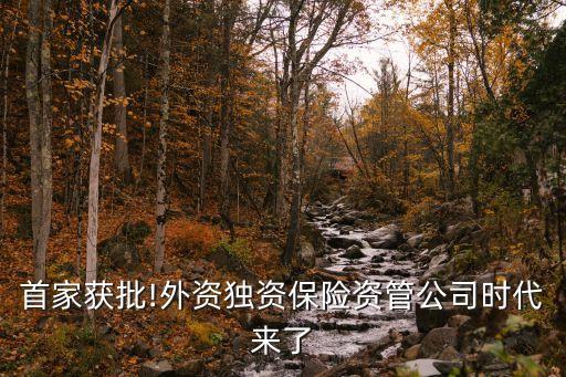首家獲批!外資獨(dú)資保險資管公司時代來了