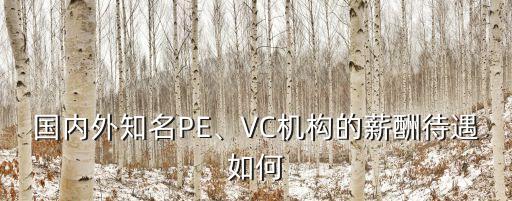 國內外知名PE、VC機構的薪酬待遇如何