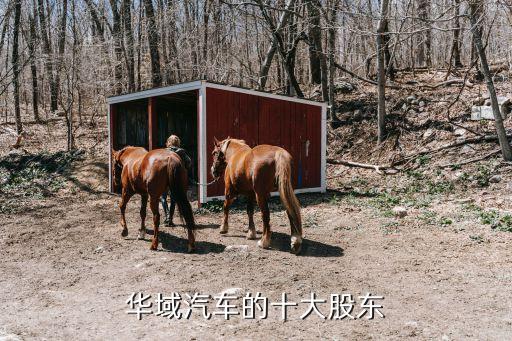 華域汽車(chē)的十大股東