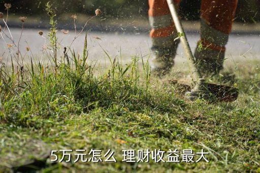 5萬(wàn)塊錢怎樣投資理財(cái),20萬(wàn)銀行投資理財(cái)有多少錢