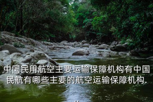 中國民用航空主要運輸保障機構(gòu)有中國民航有哪些主要的航空運輸保障機構(gòu)...