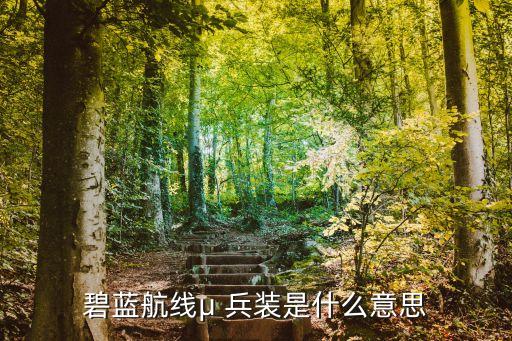碧藍(lán)航線(xiàn)μ 兵裝是什么意思