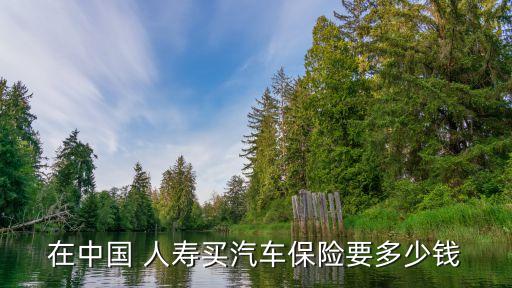 中國(guó)人壽車(chē)險(xiǎn)價(jià)目表,買(mǎi)車(chē)險(xiǎn)下載什么軟件
