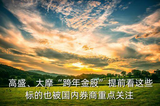  高盛、大摩“跨年金股”提前看這些標(biāo)的也被國內(nèi)券商重點(diǎn)關(guān)注