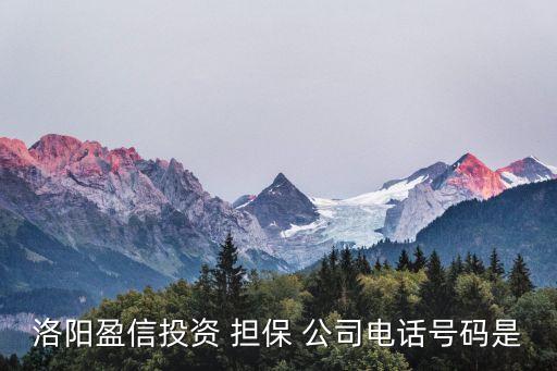 洛陽盈信投資 擔(dān)保 公司電話號(hào)碼是
