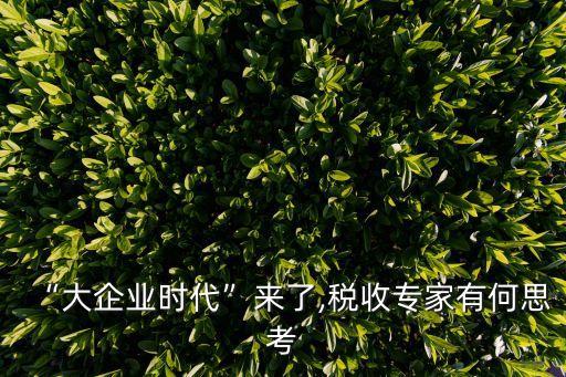 “大企業(yè)時(shí)代”來(lái)了,稅收專家有何思考