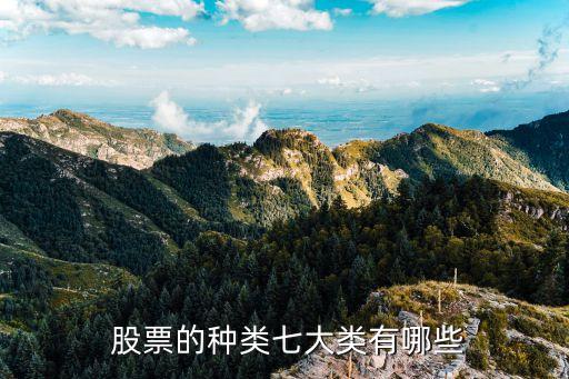  股票的種類(lèi)七大類(lèi)有哪些
