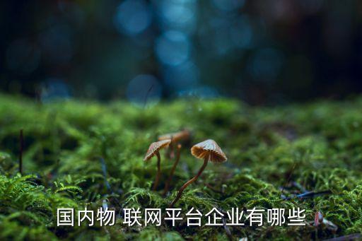 國內物 聯(lián)網平臺企業(yè)有哪些