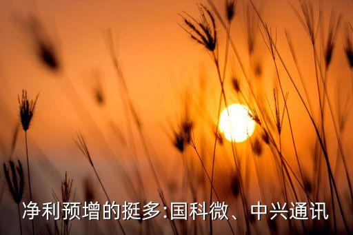 凈利預(yù)增的挺多:國科微、中興通訊