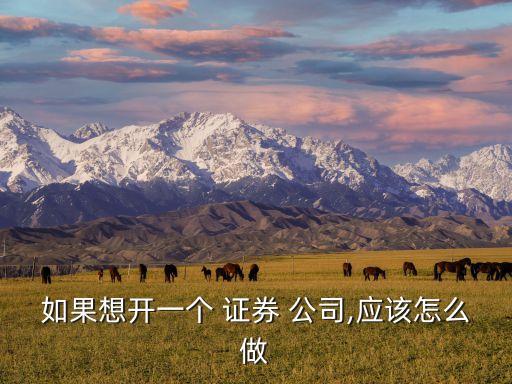 如果想開一個(gè) 證券 公司,應(yīng)該怎么做