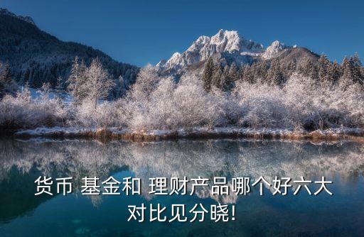 貨幣基金與理財(cái)基金的區(qū)別,貨幣理財(cái)和貨幣基金有什么區(qū)別