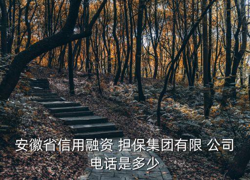 安徽省信用融資 擔(dān)保集團有限 公司電話是多少