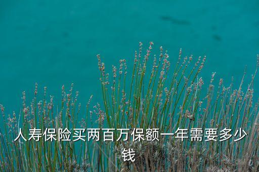  人壽保險(xiǎn)買兩百萬保額一年需要多少錢