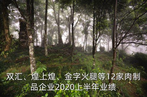 雙匯、煌上煌、金字火腿等12家肉制品企業(yè)2020上半年業(yè)績(jī)