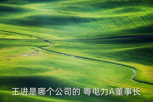 王進(jìn)是哪個(gè)公司的 粵電力A董事長