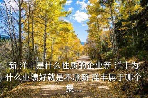 新 洋豐是什么性質(zhì)的企業(yè)新 洋豐為什么業(yè)績好就是不漲新 洋豐屬于哪個(gè)集...