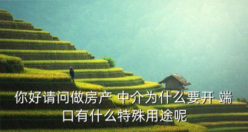 你好請問做房產(chǎn) 中介為什么要開 端口有什么特殊用途呢