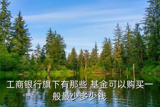 工商銀行旗下有那些 基金可以購(gòu)買(mǎi)一般最少多少錢(qián)