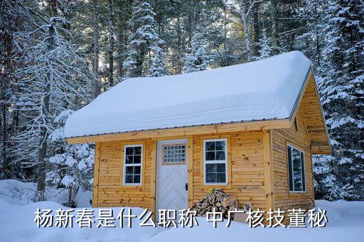 楊新春是什么職稱(chēng) 中廣核技董秘