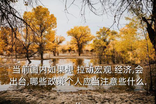 當(dāng)前國內(nèi)如果想 拉動宏觀 經(jīng)濟(jì),會出臺,哪些政策個(gè)人應(yīng)當(dāng)注意些什么...