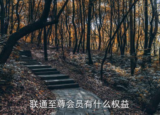 聯(lián)通至尊會員有什么權益