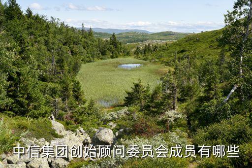 中信集團(tuán)創(chuàng)始顧問委員會成員有哪些