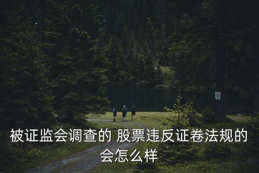 股票立案調(diào)查屬實(shí)股價(jià)會咋樣,股票激勵計(jì)劃對股價(jià)的影響