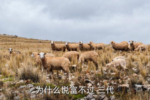 中國(guó)人富不過三代,為什么說(shuō)中國(guó)人富不過三代