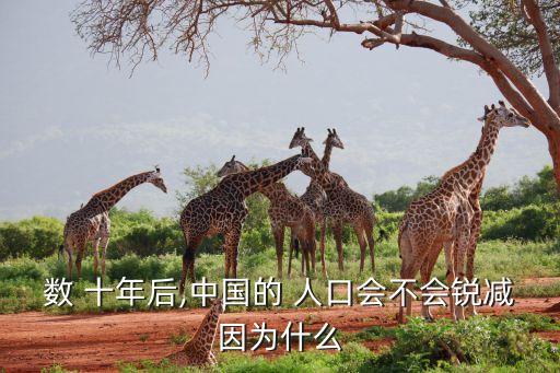 數 十年后,中國的 人口會不會銳減因為什么