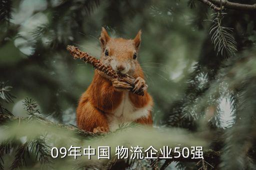 09年中國 物流企業(yè)50強
