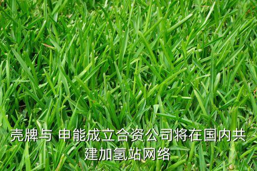 殼牌與 申能成立合資公司將在國內共建加氫站網(wǎng)絡