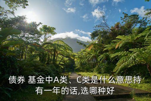 債券 基金中A類、C類是什么意思持有一年的話,選哪種好