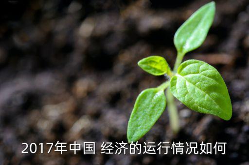 2017年中國 經濟的運行情況如何