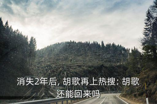消失2年后, 胡歌再上熱搜: 胡歌還能回來(lái)嗎