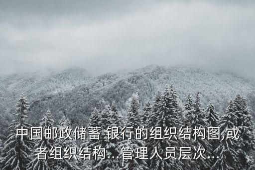 中國郵政儲(chǔ)蓄 銀行的組織結(jié)構(gòu)圖,或者組織結(jié)構(gòu)…管理人員層次…