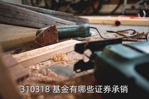 310318 基金有哪些證券承銷(xiāo)