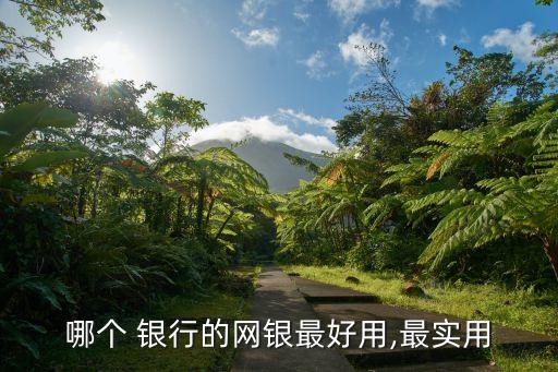 哪個 銀行的網(wǎng)銀最好用,最實(shí)用