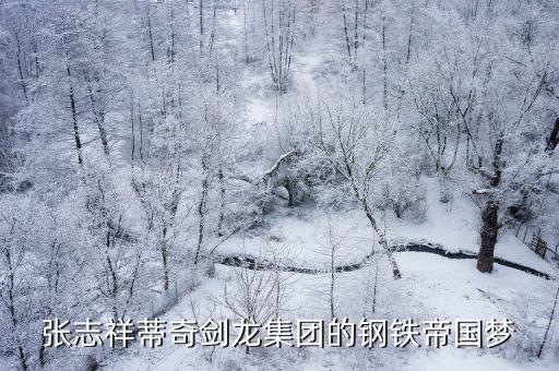 張志祥蒂奇劍龍集團(tuán)的鋼鐵帝國夢(mèng)