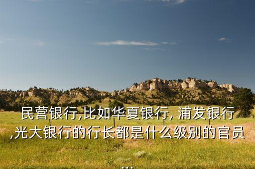 民營銀行,比如華夏銀行, 浦發(fā)銀行,光大銀行的行長都是什么級(jí)別的官員...