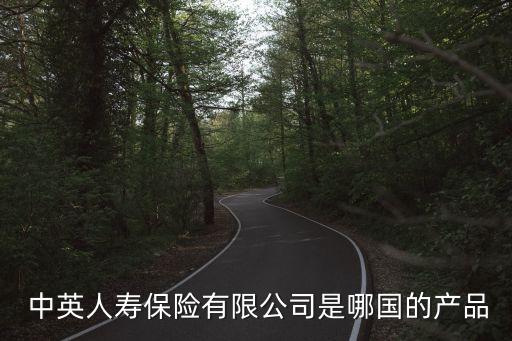  中英人壽保險有限公司是哪國的產品
