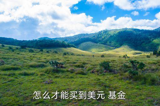 怎么才能買(mǎi)到美元 基金