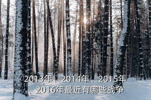 2013年、2014年、2015年、2016年最近有哪些戰(zhàn)爭